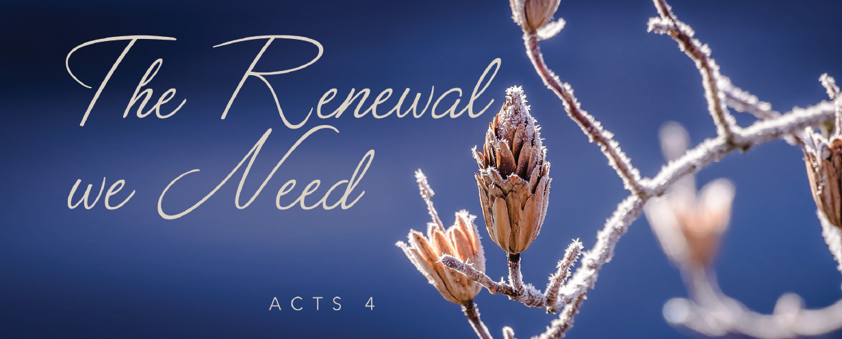 17801-revival