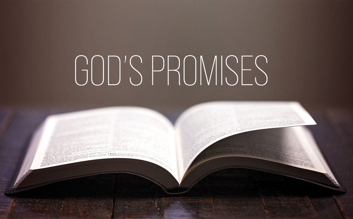 promises